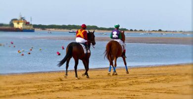 Las mejores carreras de caballos